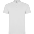 Heren Polo Star Roly PO6638 Wit
